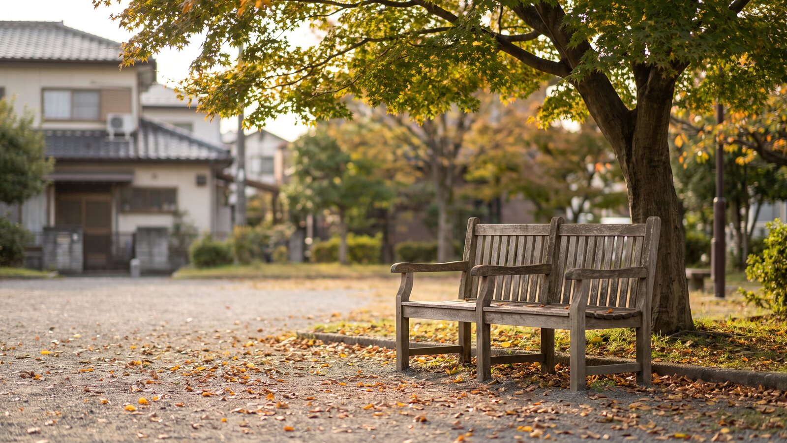 秋の公園の、誰も座っていない木のベンチ