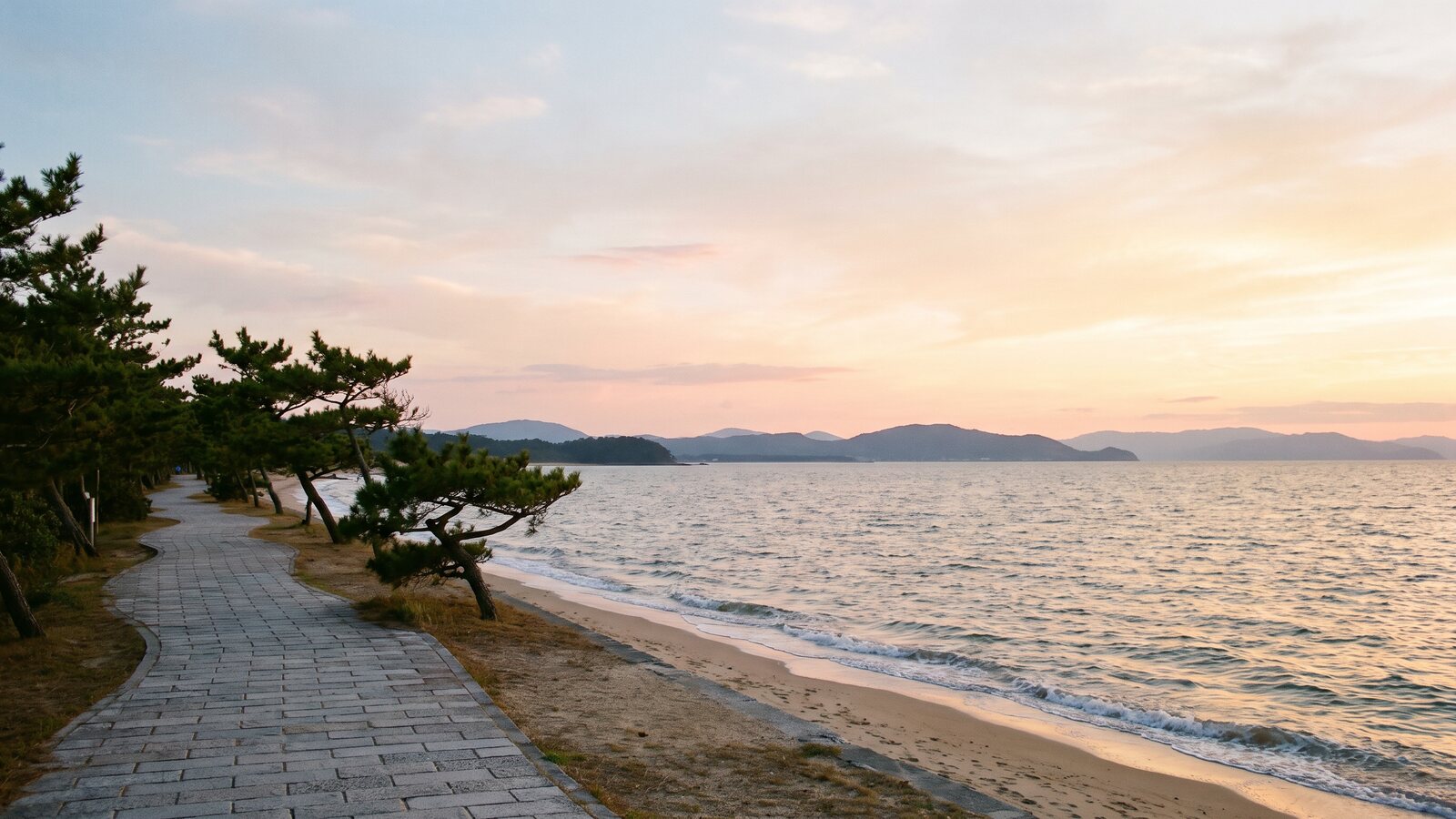 夕方の海辺の遊歩道。松並木の向こうに穏やかな海と遠くの山並みが見える